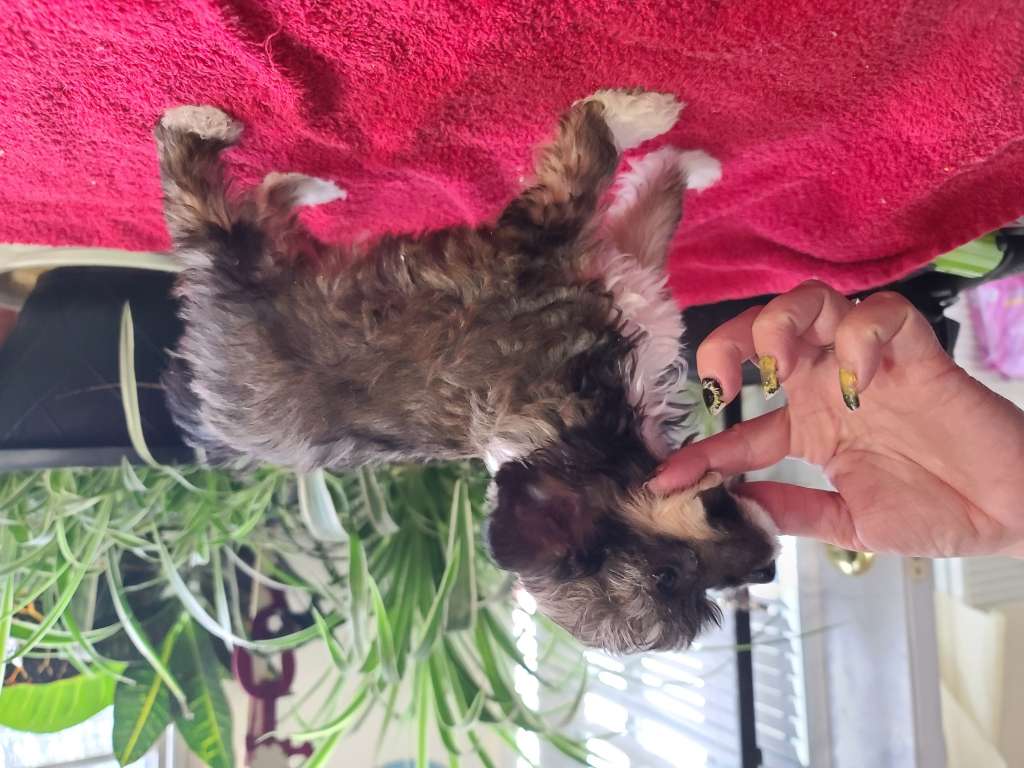 Long Haul's Victory Unveiled