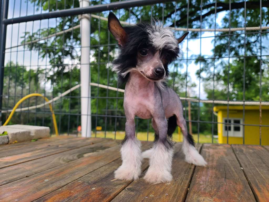 Long Haul's Big Hair Band 1 Hit Wonder