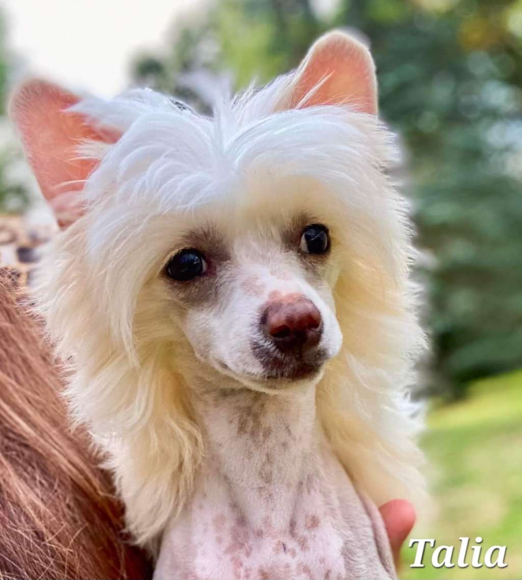 By Angel Wings You Lift Me Up