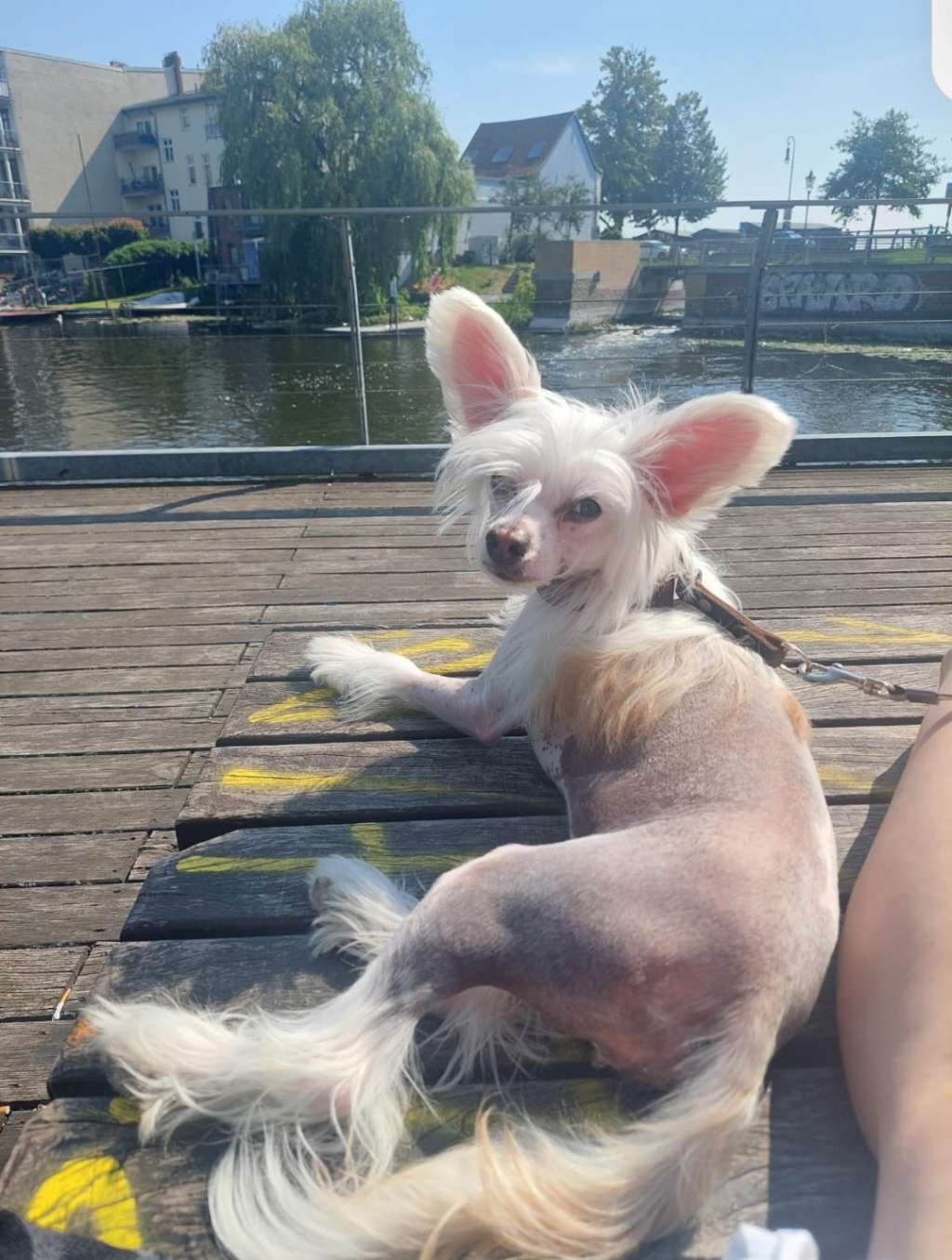 Kovimoti Patricia Charlotte Sissi