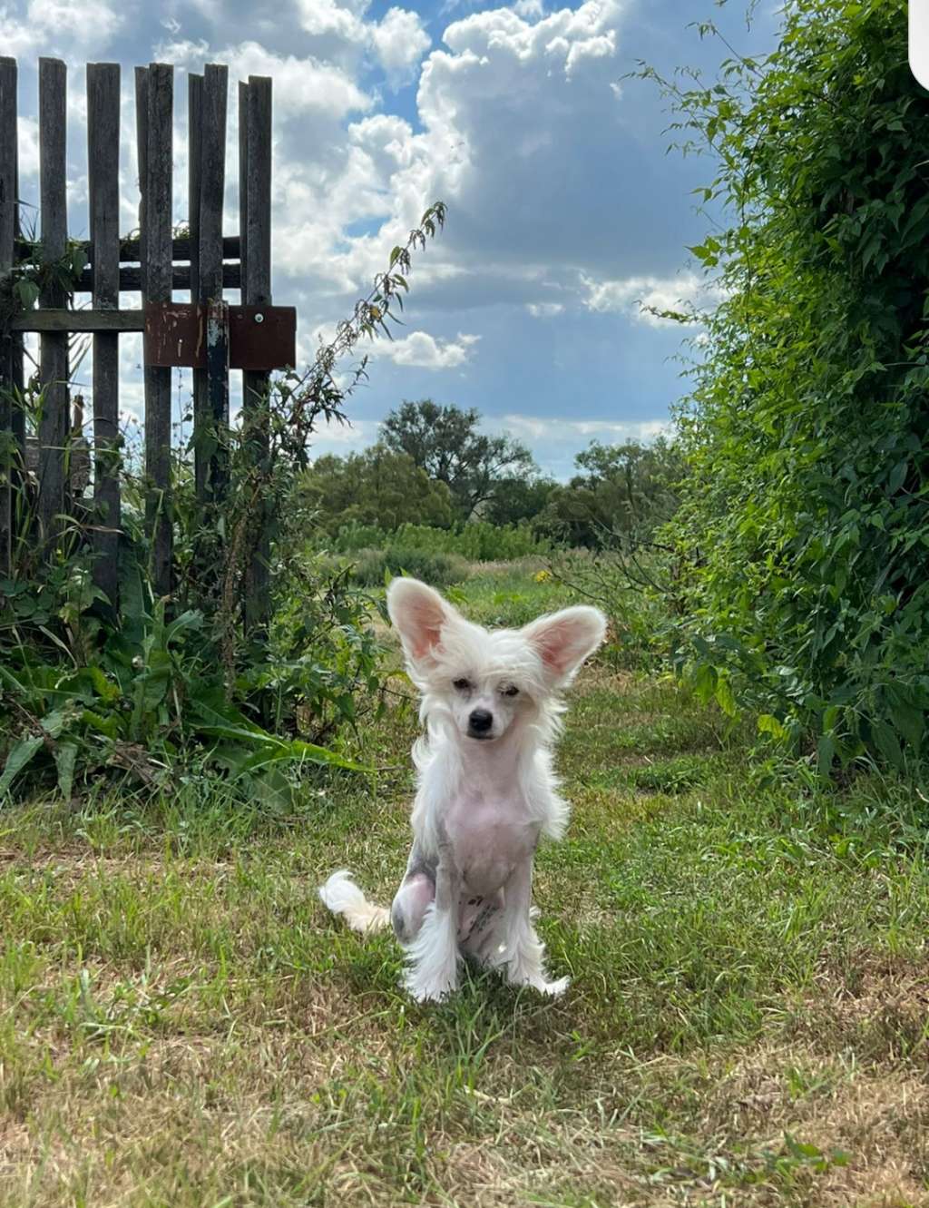 Kovimoti Amelie de La Rochelle