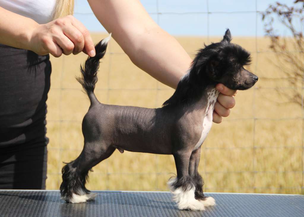 Leed's Infinity Blistering Argon