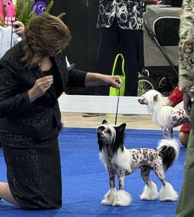 Crest-Vue's Normal Objective