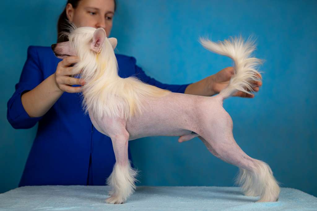 Grand Passage Zander