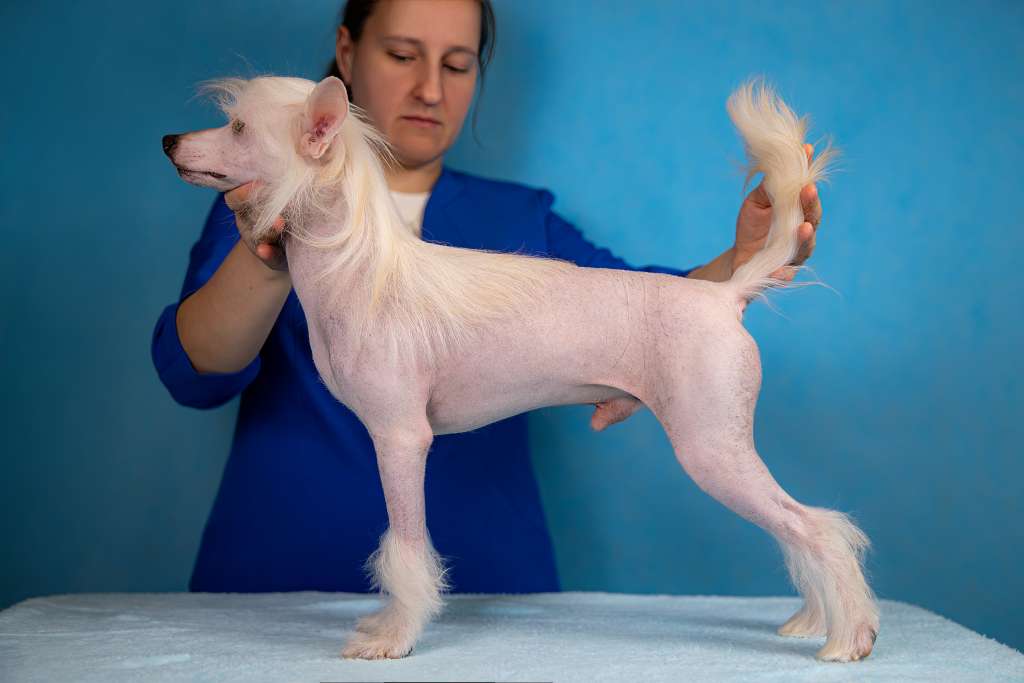 Grand Passage Zalman