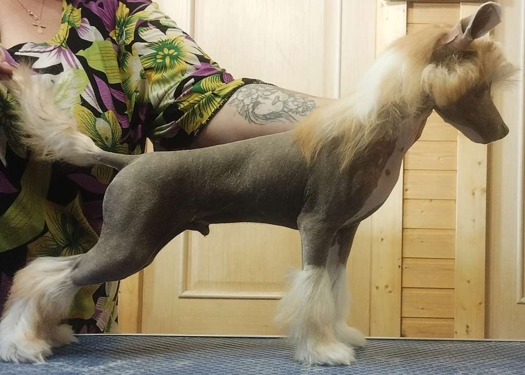 Rolana Family Fabian