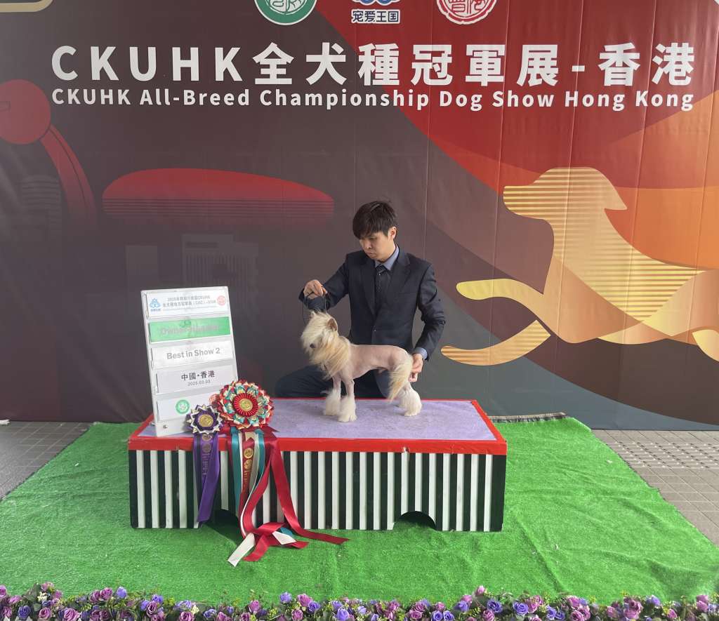 Dasha's Take My Money