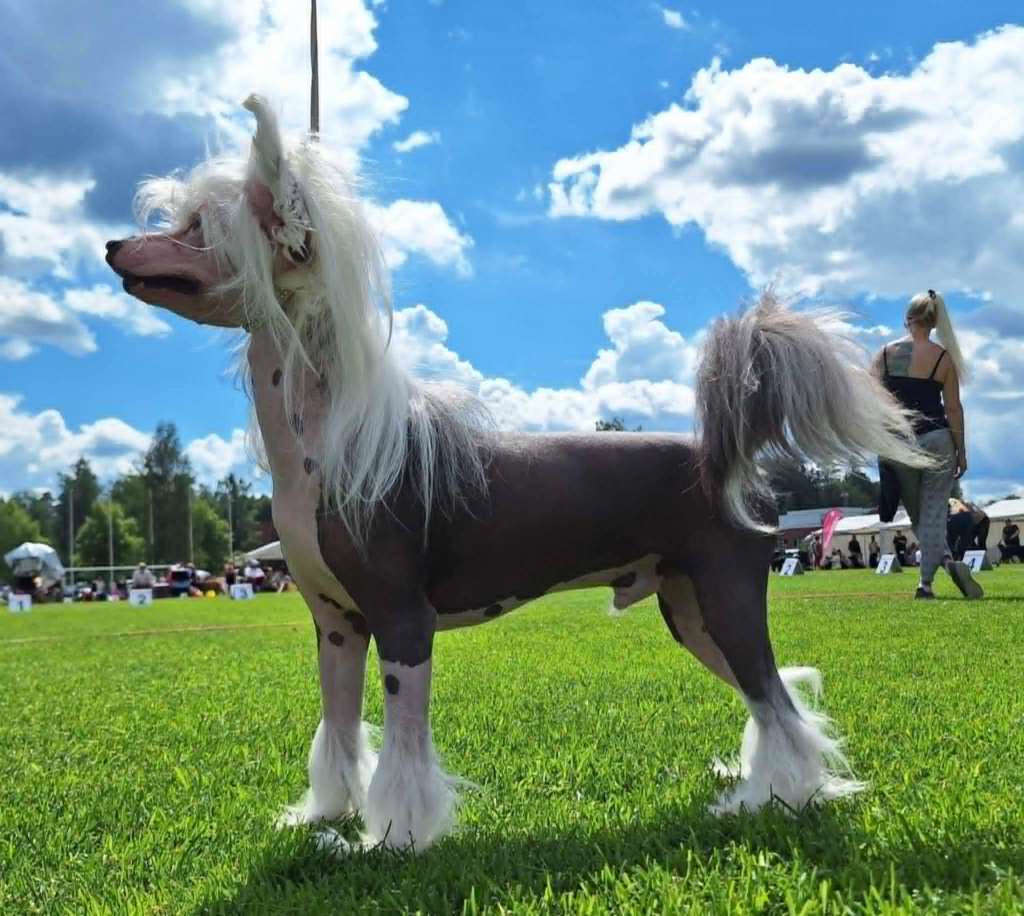 Black-Diva's I'm A Hot Drug For You