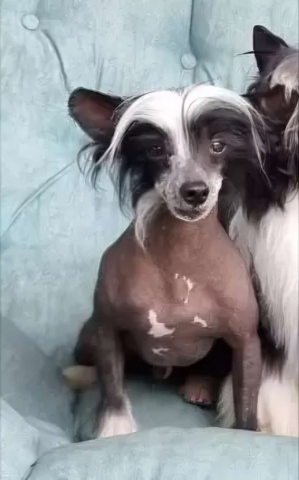 Eashik Kwan Yuri Jason