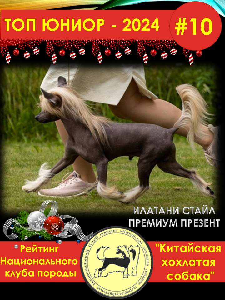 Ilatani Style Premium Present