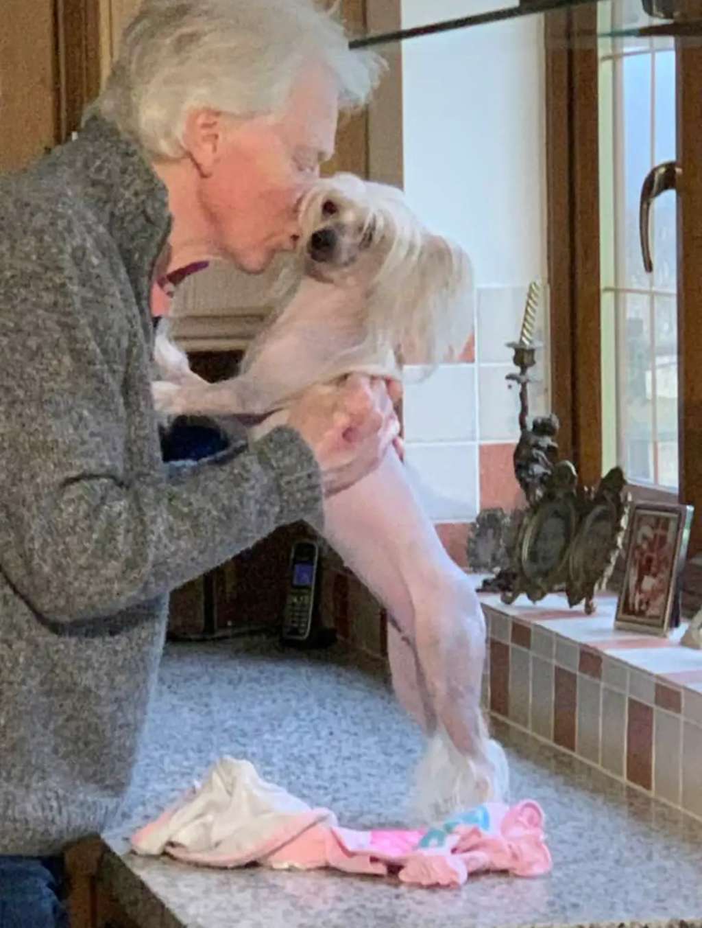 Scherzando Toss n Turn