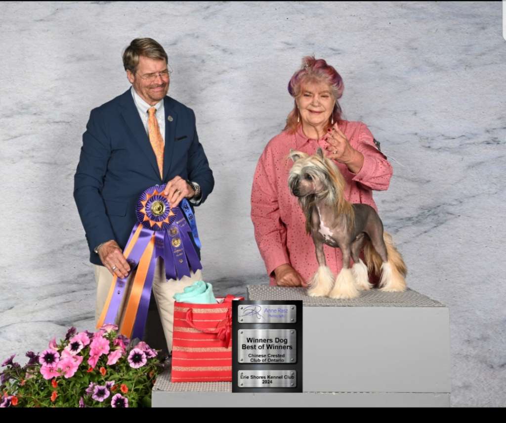 Dazzles Ain't He Boodacious@LaurelGlen