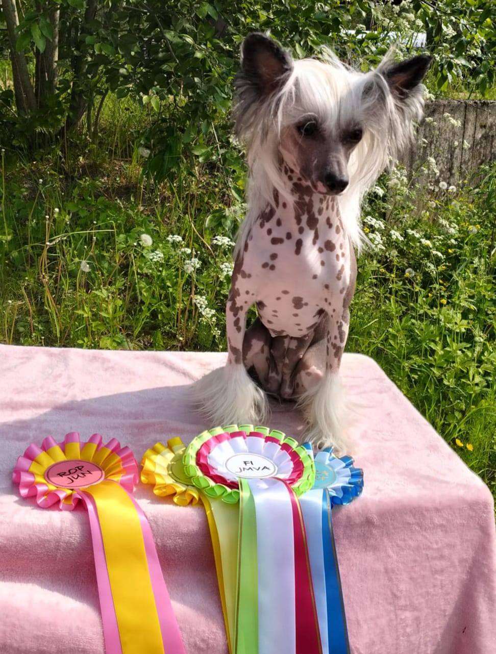 Concrete Clouds Boss Bitch