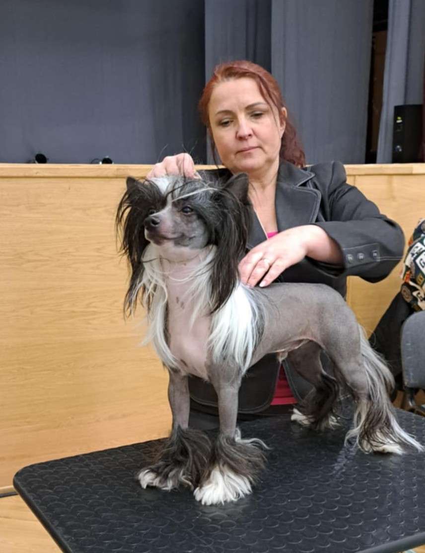 Elias z Jasne hvezdy