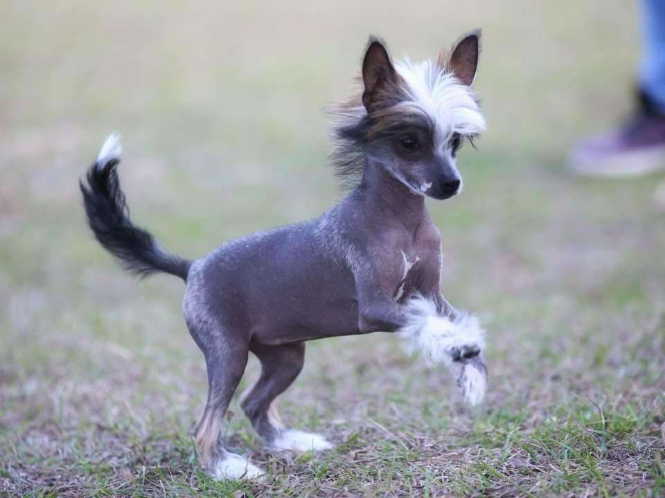 Kaylens Not Ready To Make Nice