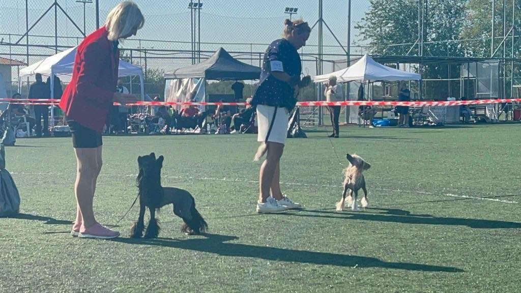 Black Nela Kings Of Dreams