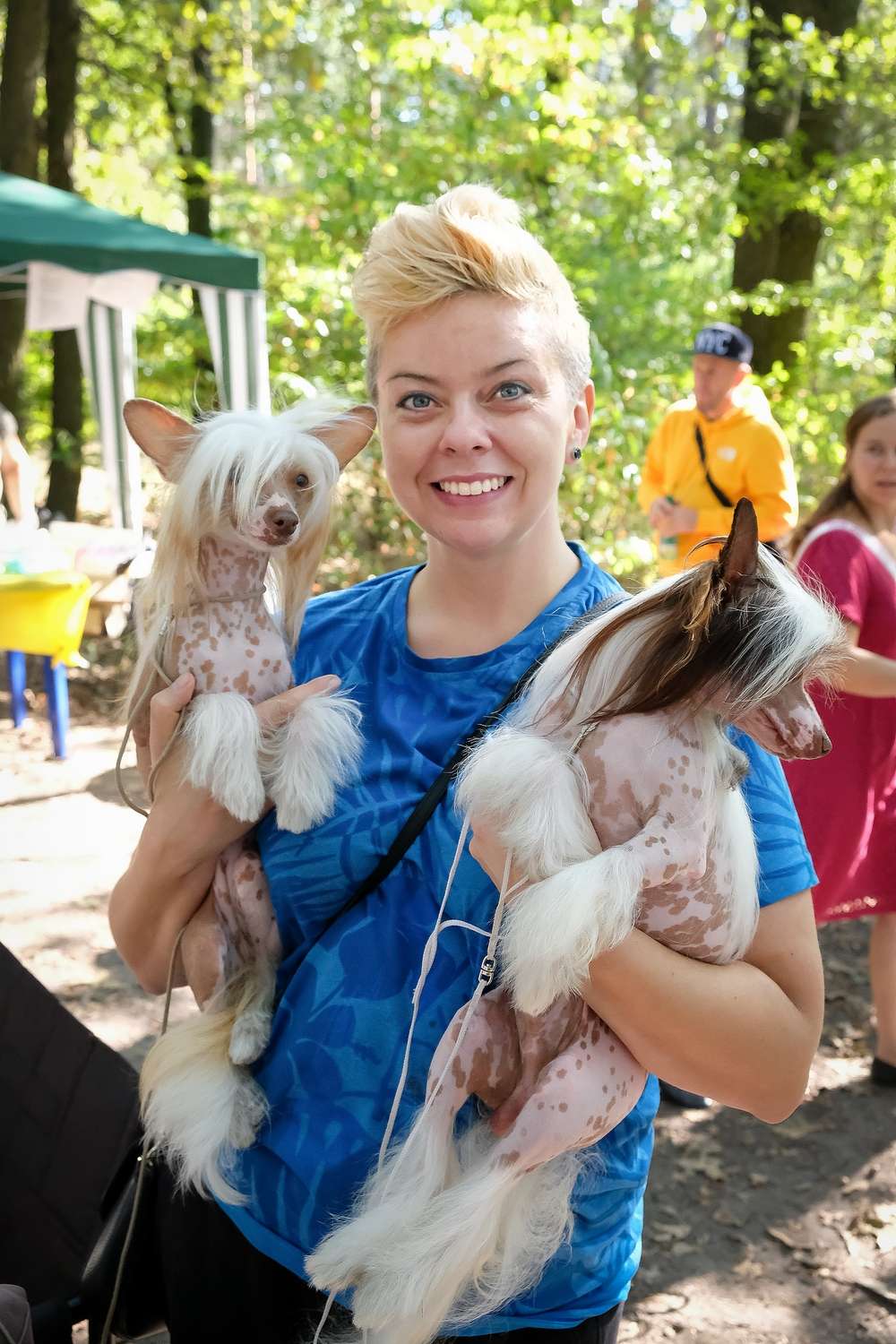 Ruda  Mal'va  El  Tiola