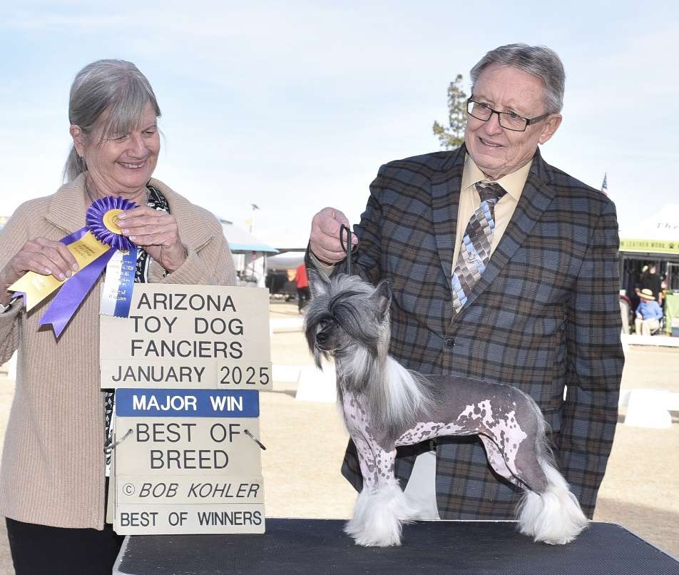 Wind N Puffin Leather And Lace