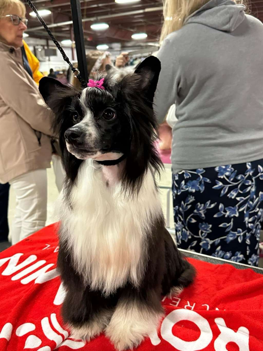 Bessi Super Ciapki (fci)