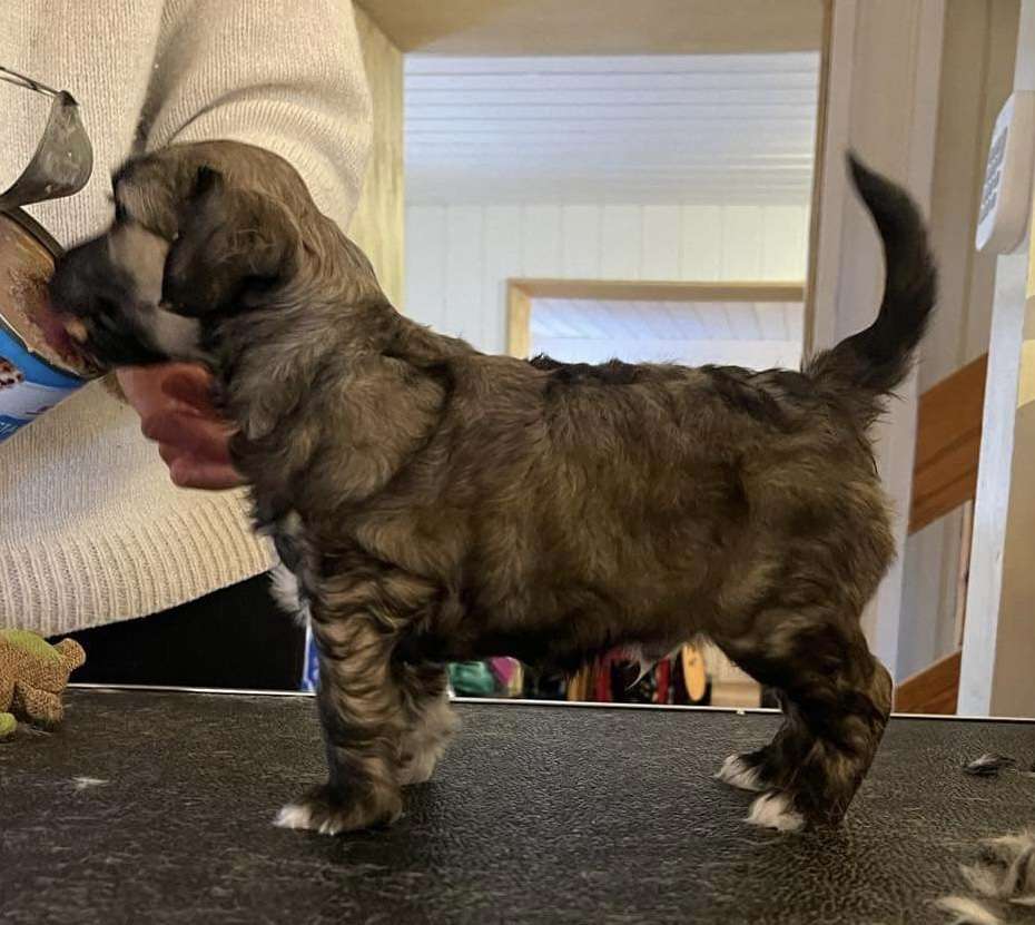 Moelmo's No I Am Your Father