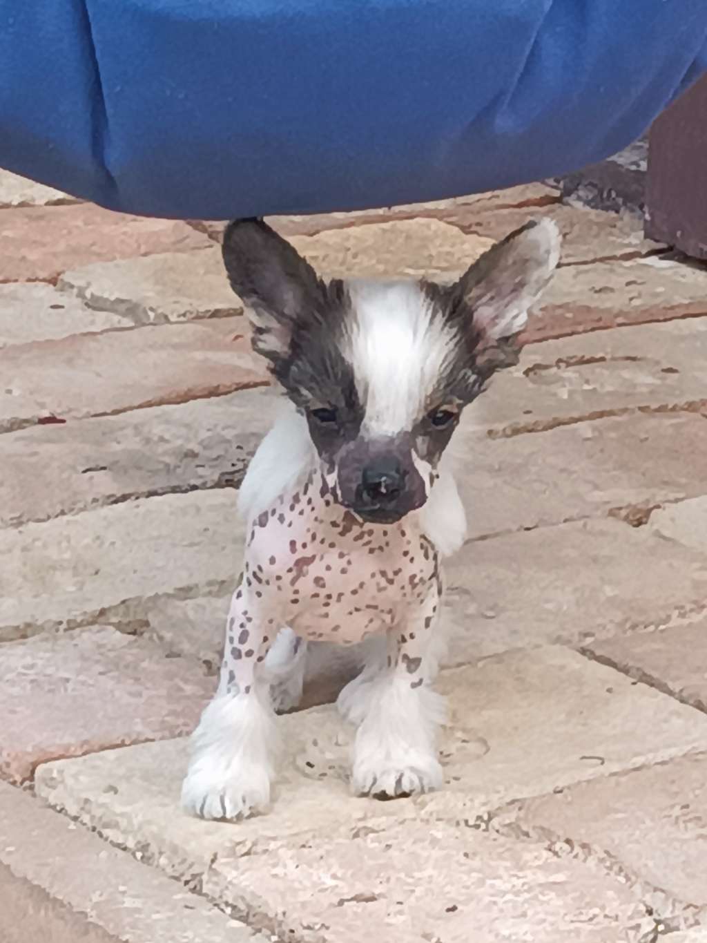 Solino's From Zero To Hero