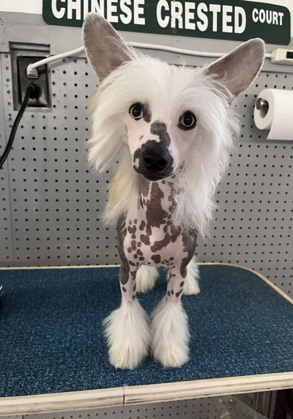 Heartesha Once In A Blue Moon