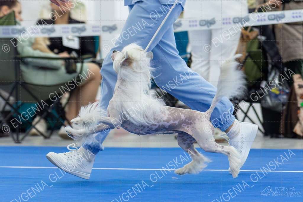 Kovimoti Norma Jeane Baker