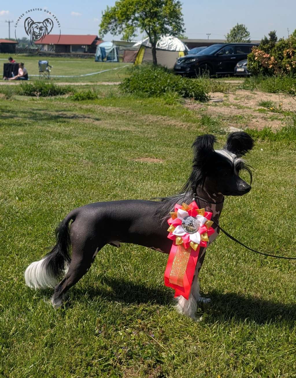 Arthur Kingdom of Aravern