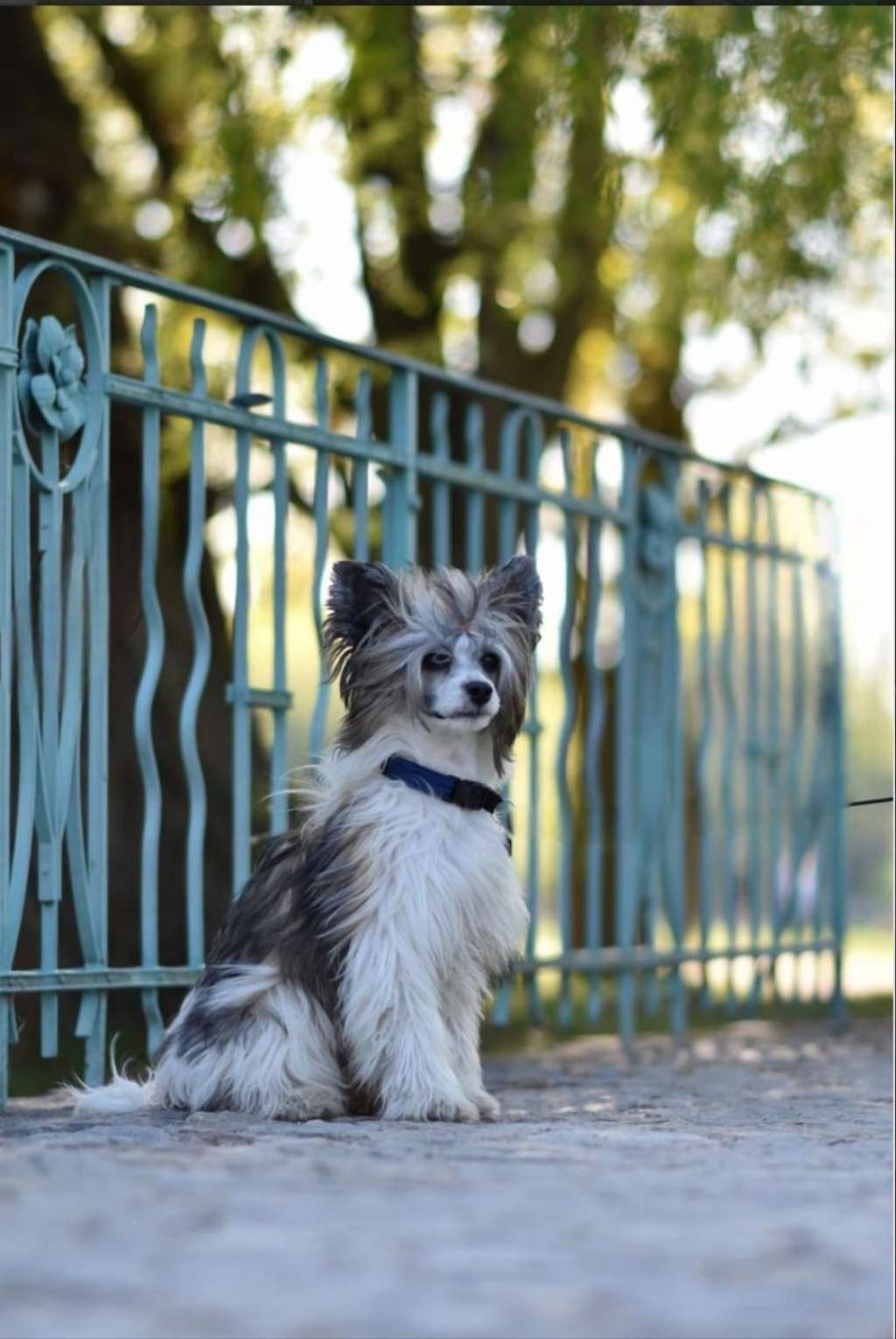 Augustin Kingdom of Aravern