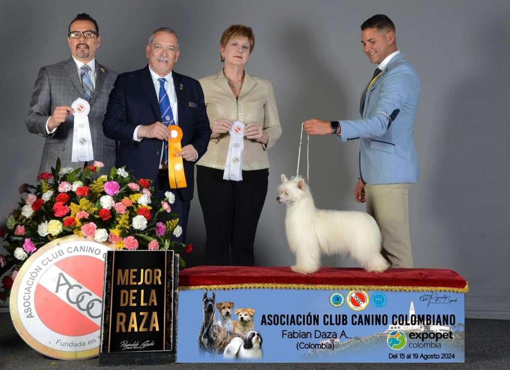 De La Casa Borromeo's Jigglypuff