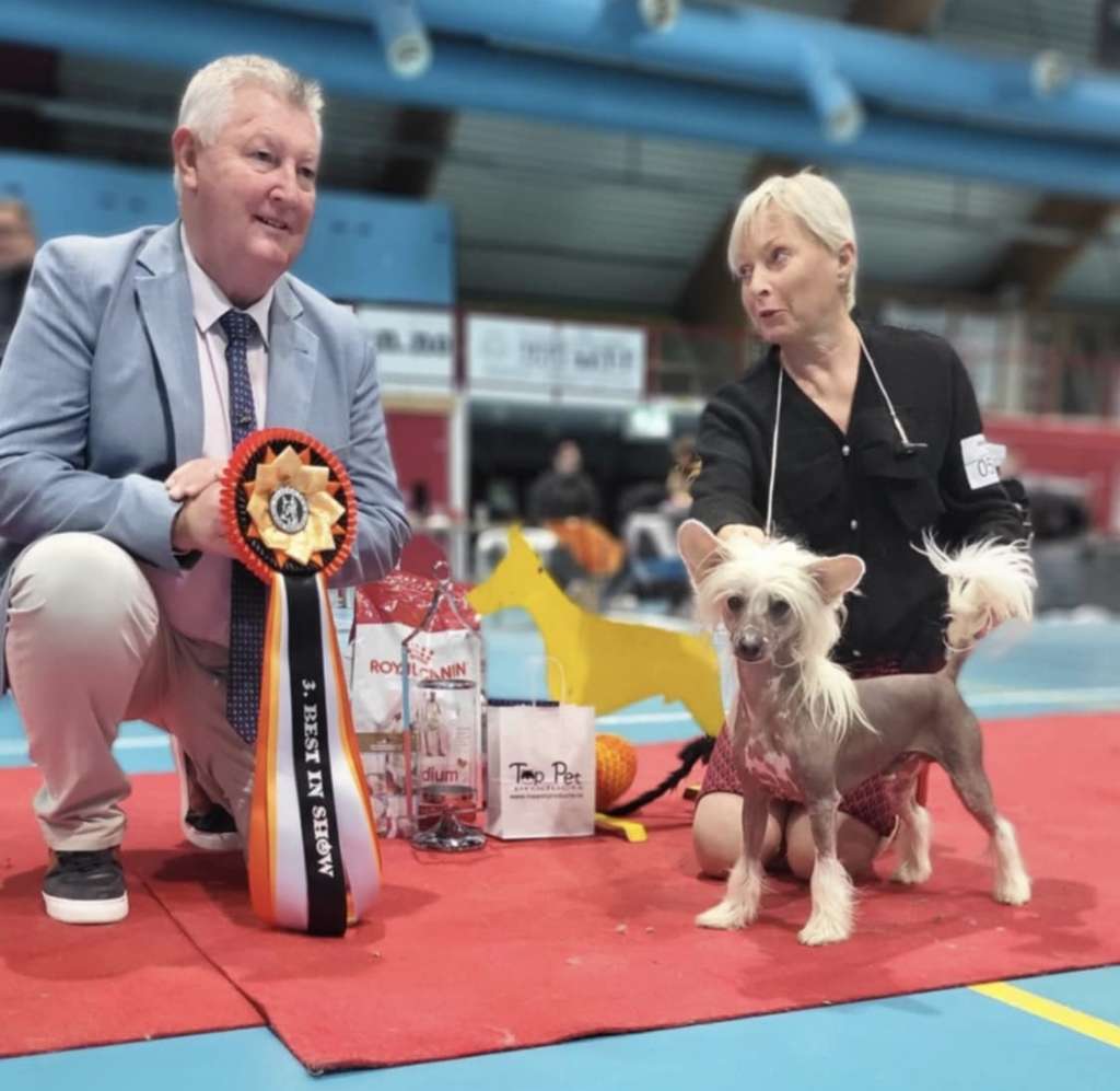 Boysboys Dressed for suksess