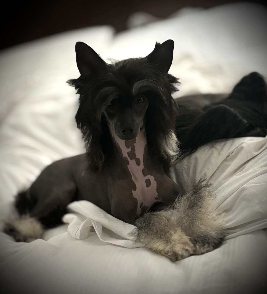 Gracieux Leave Her Wild