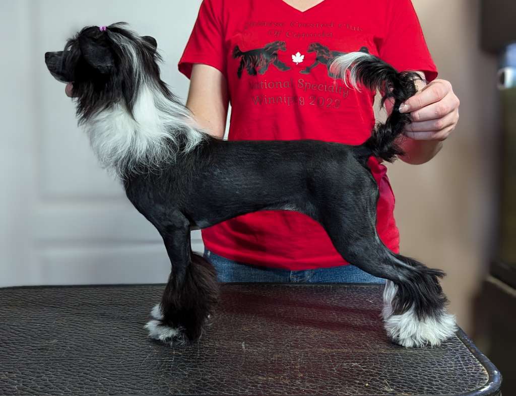 Denali's Devil Wears Prada