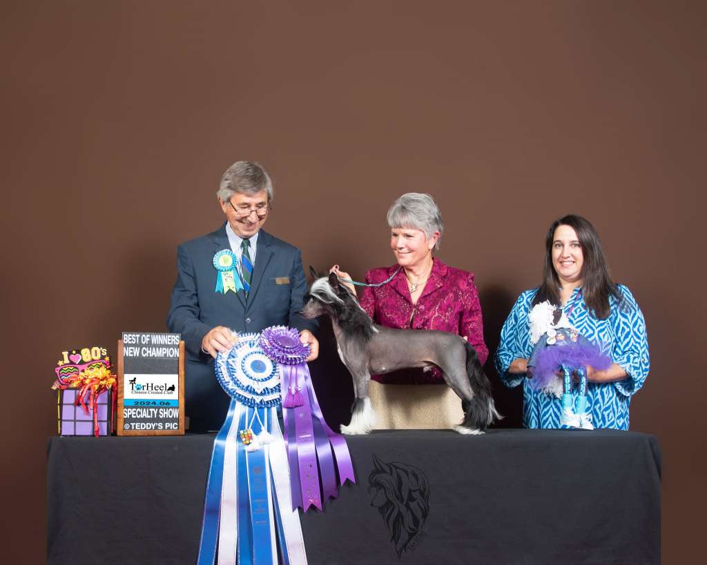 Candela MyAngel Epic Showdown