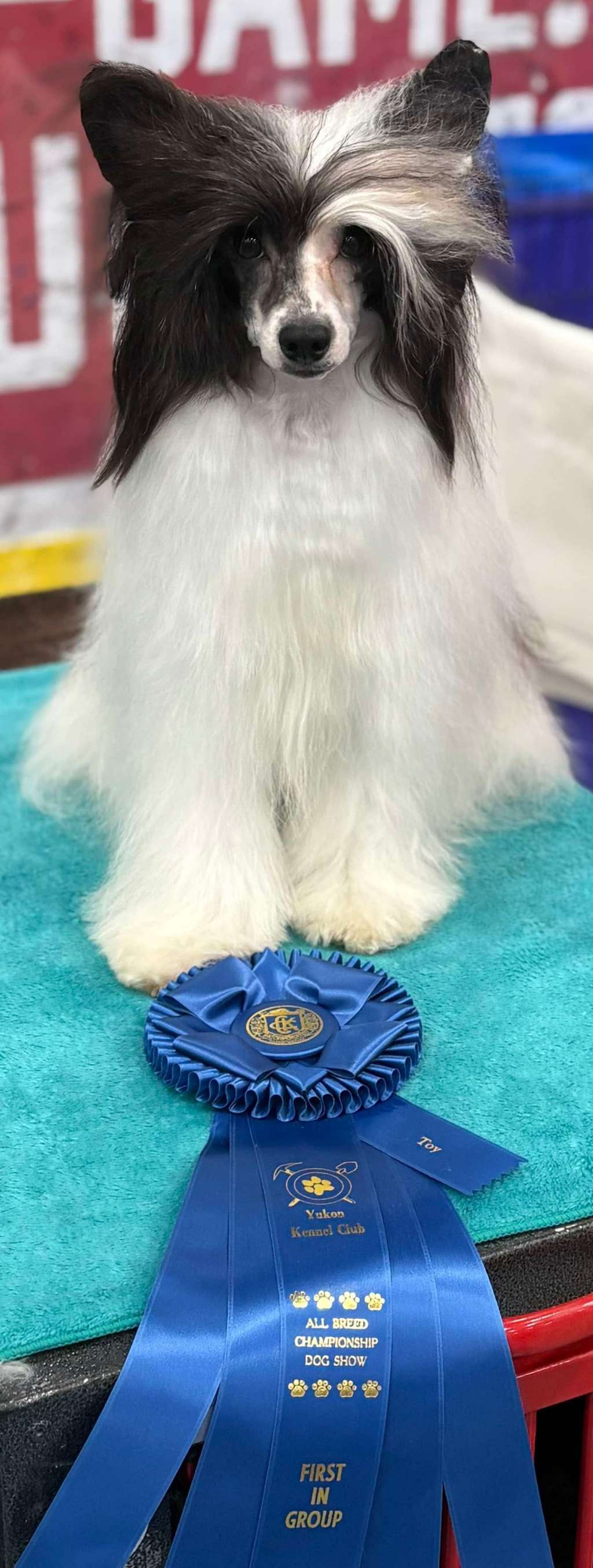 Hex N Wind Bourne On The Bayou