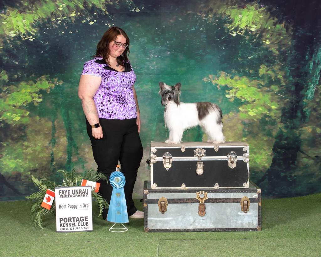 Hex N Wind Fry Me Up Some Beignets