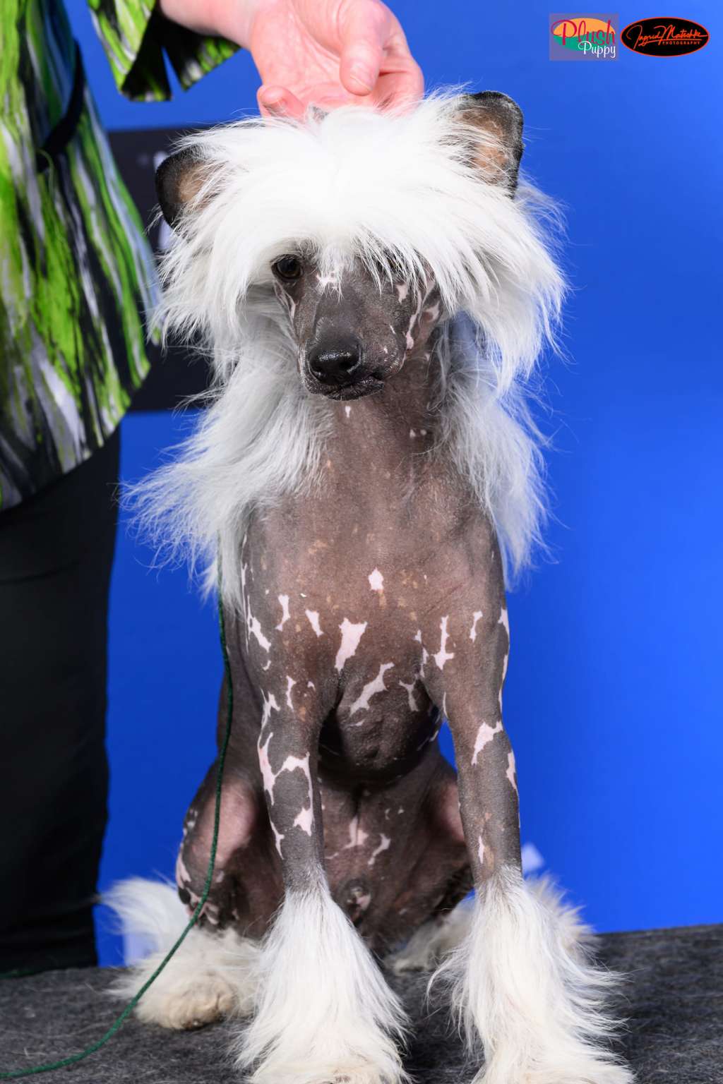 Xioma Storms Of Flame (AI)