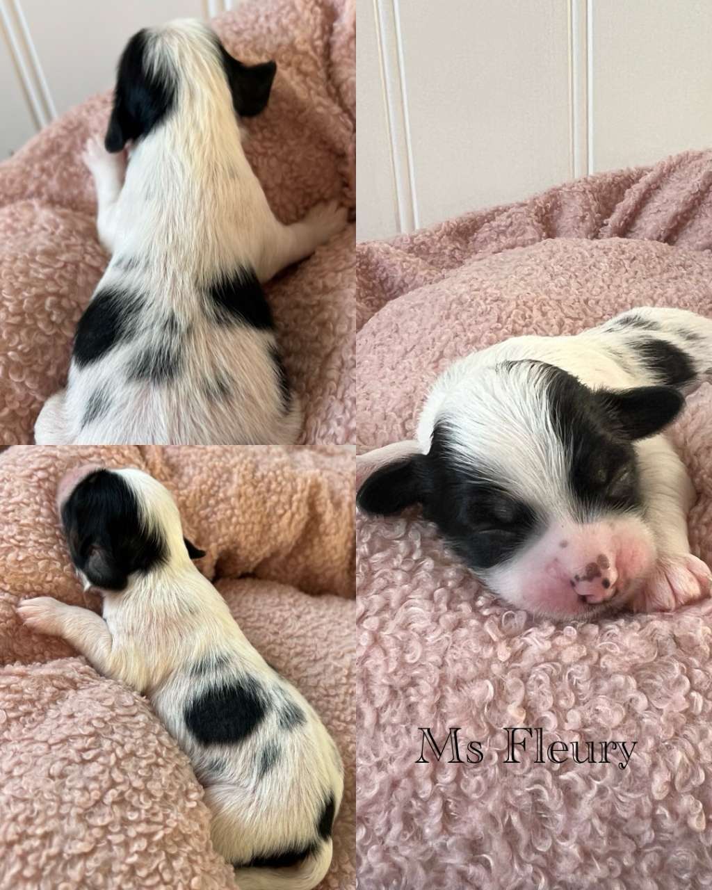 Dreamful Ms Fleury by Naked Bubbles