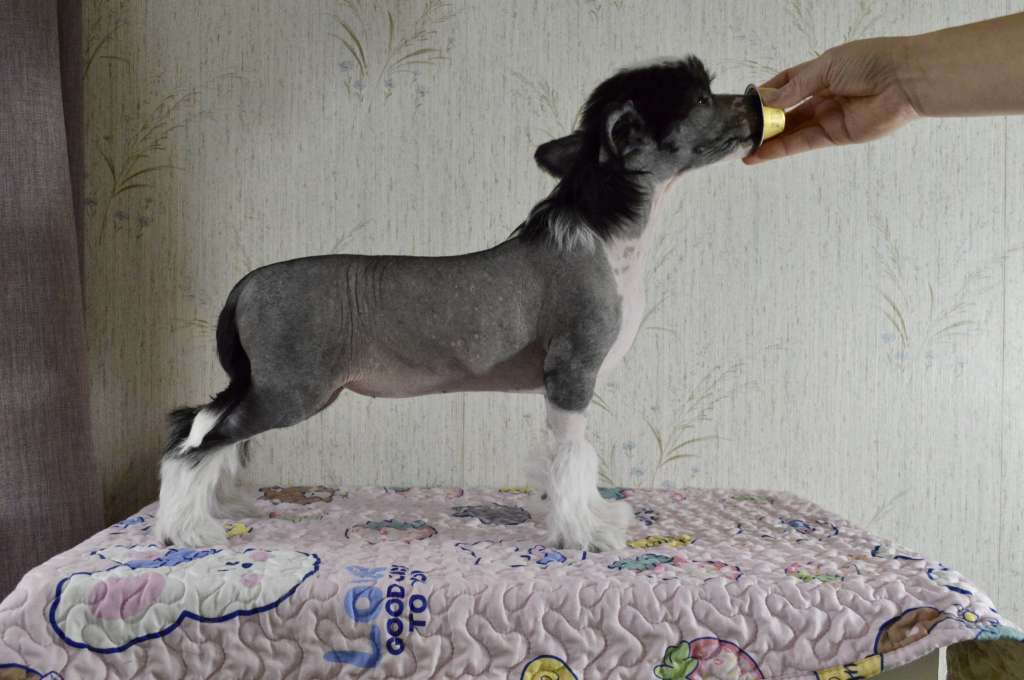 Girls Girls Noods of Norway