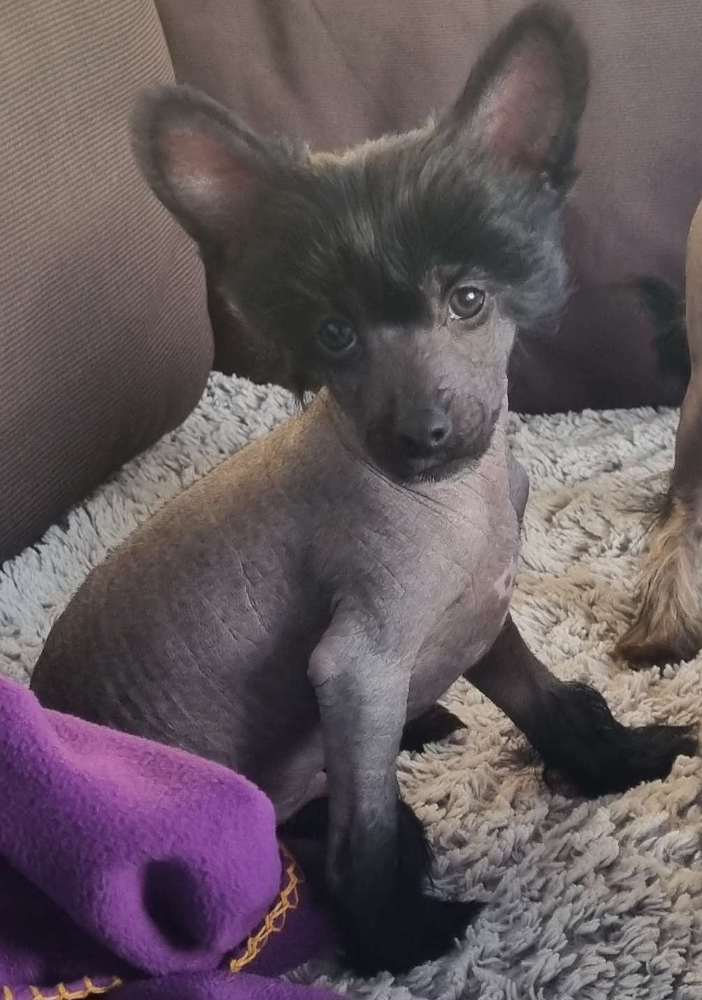 Epadalens Never Say Godbye