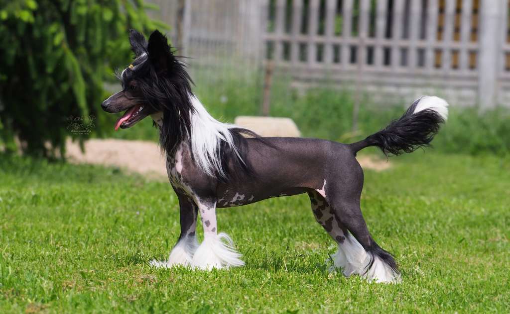 Andrea Beaumont of the Bavarian Dream