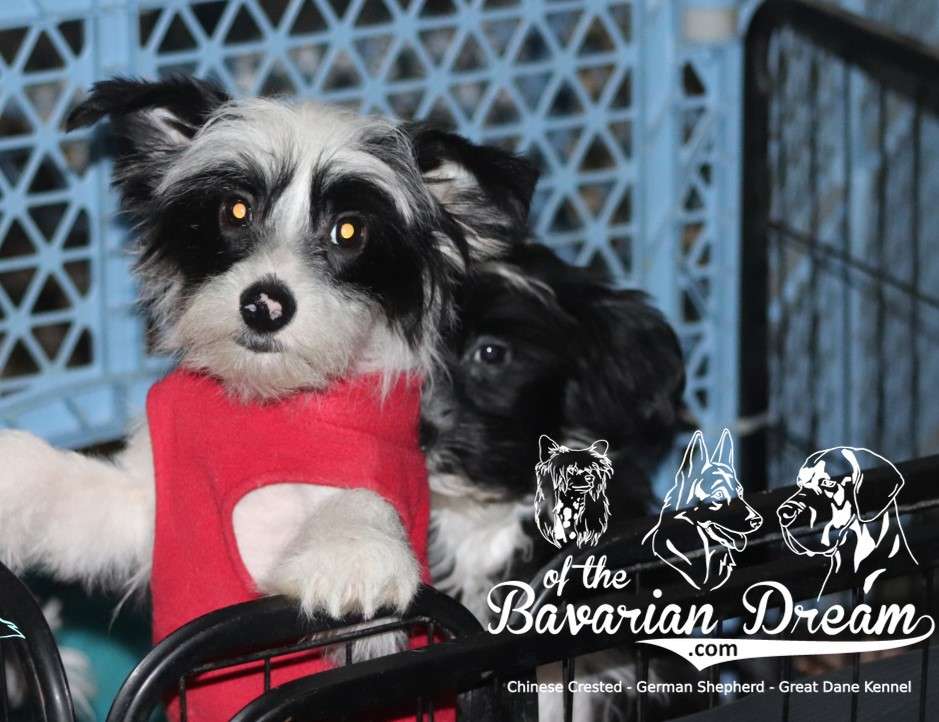 Avernus of the Bavarian Dream