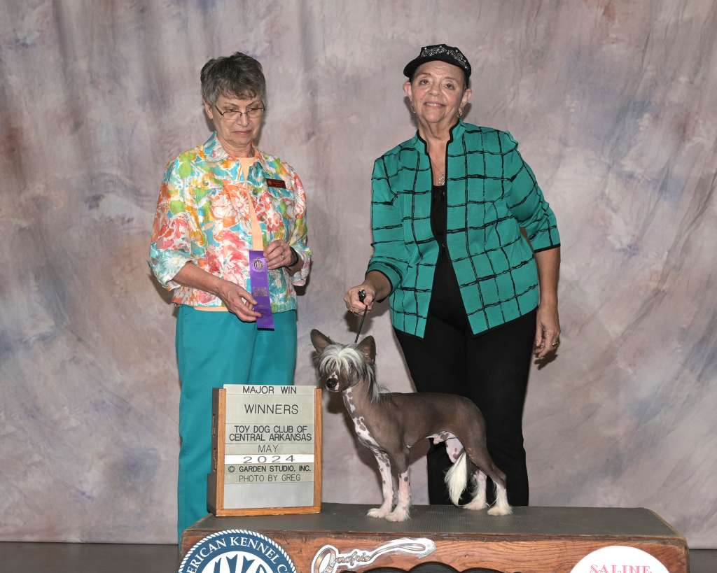 Lacshen's High Fashion