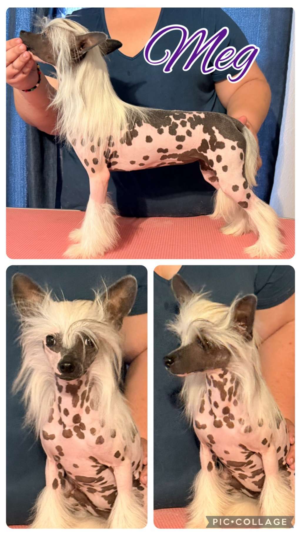 Blanch-O Kaylen Ariella Hot Girl Summer