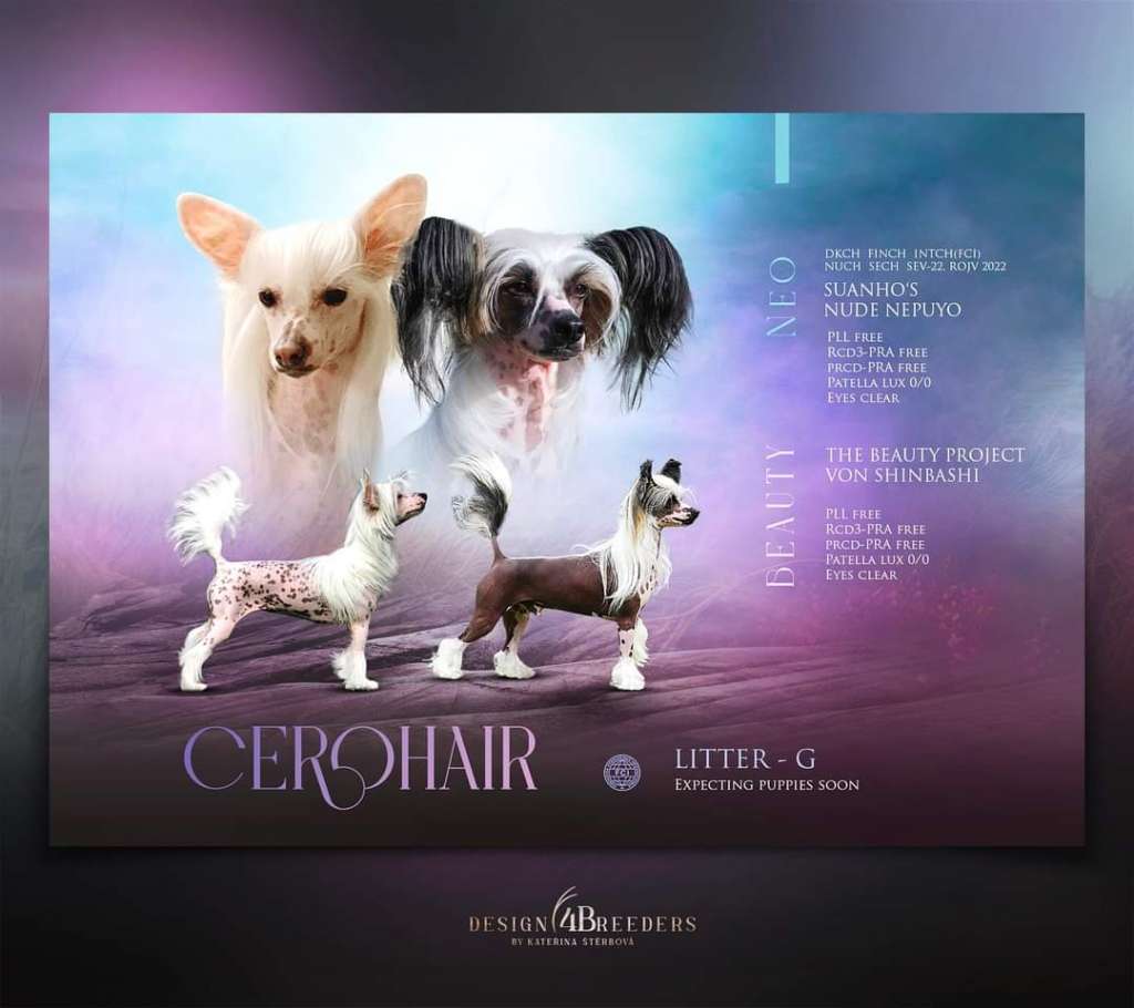 Cerohair G litter