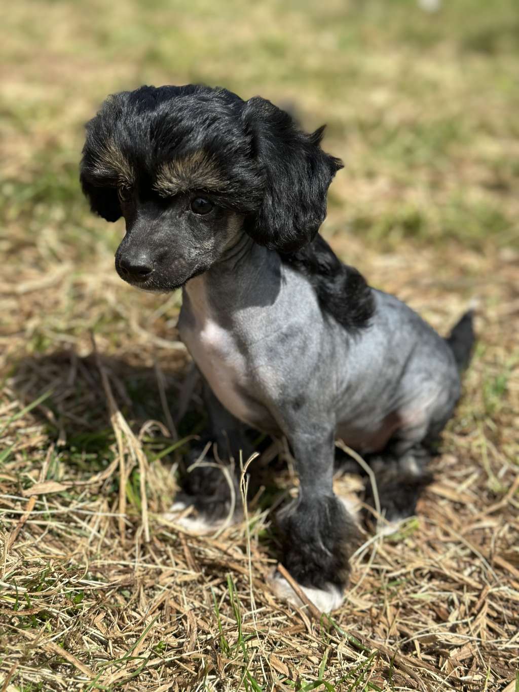 Kalimera's Rachel McAdams