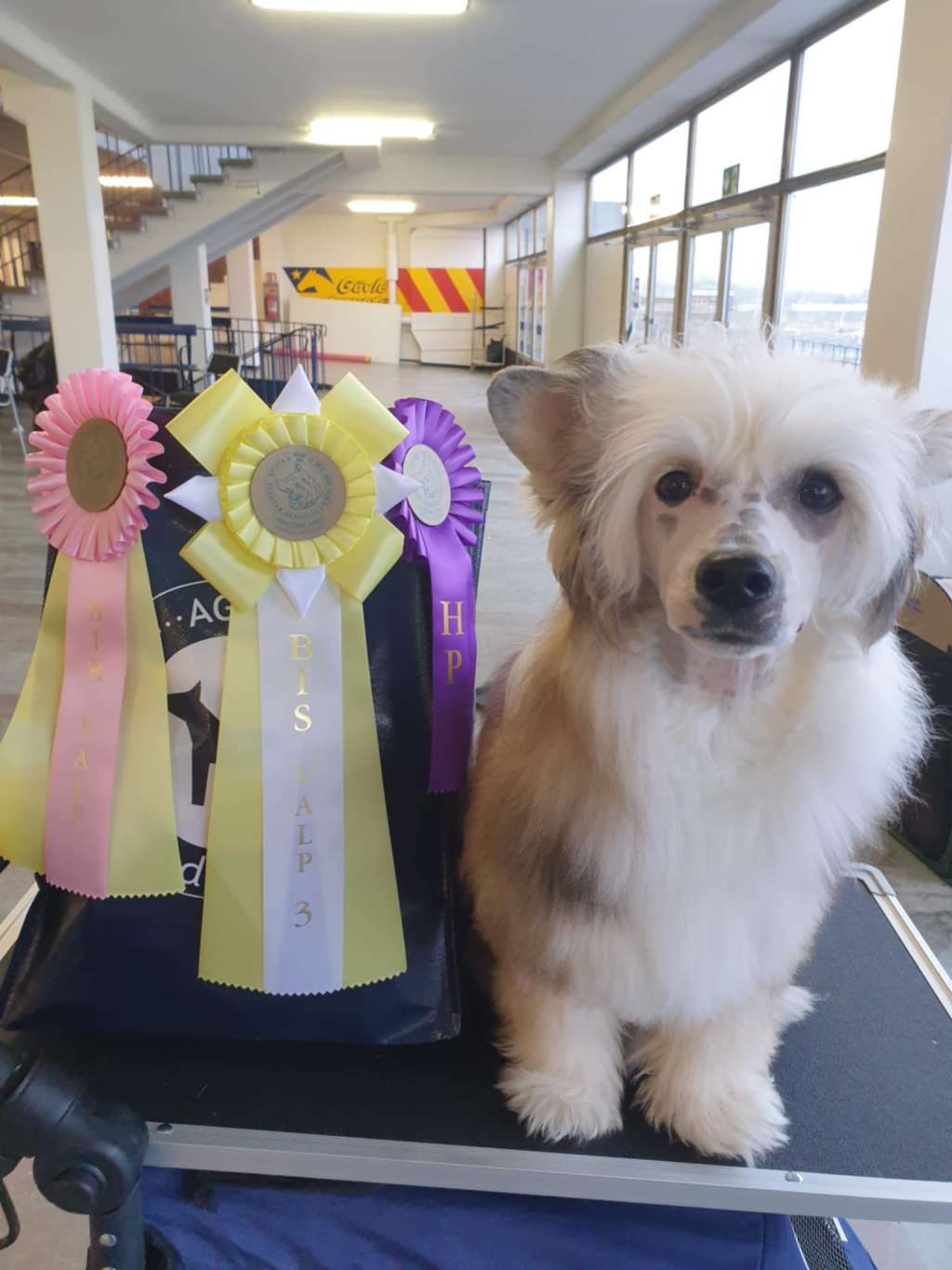 Tinted's I Regret Nothing