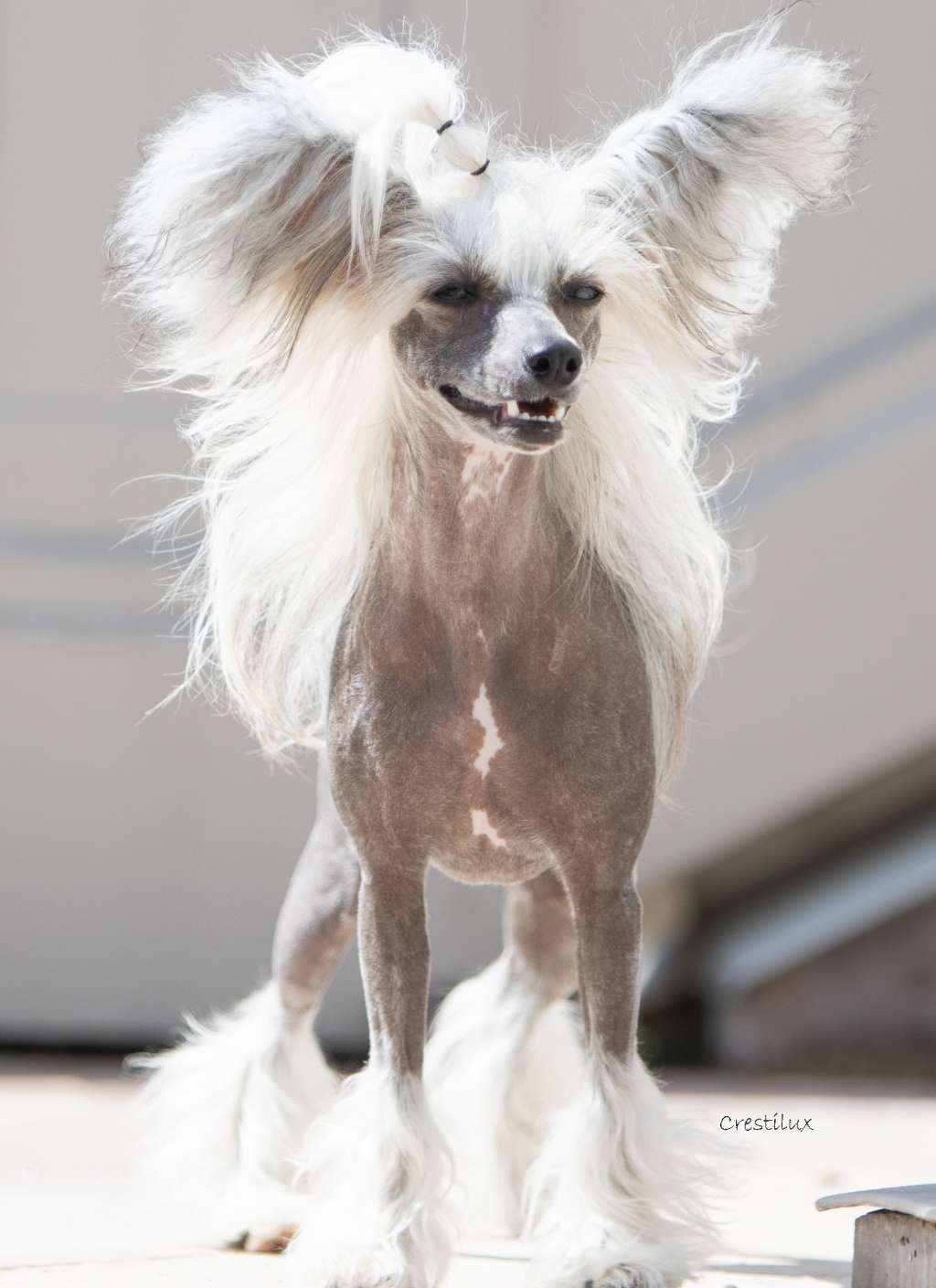 DesireMe Unstoppable