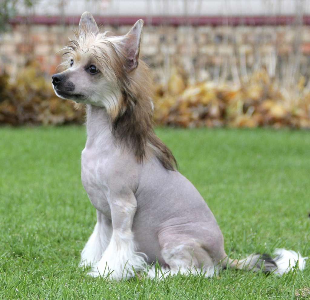 Ilatani Style Uma Thurman