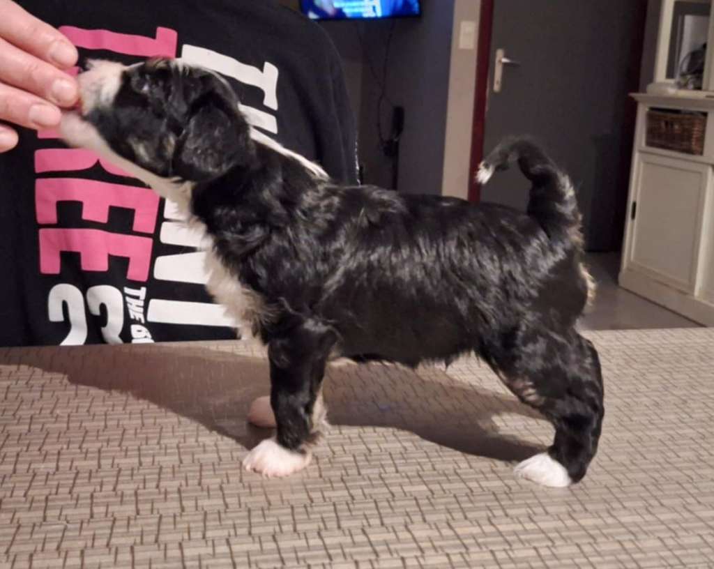 Zero Tolerance Xcuse Me I'm Not Naked